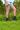 Gardening Protection Leg Sleeves - Beige - Wildlyready