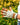 Gardening Gloves - Kookaburra White - Wildlyready